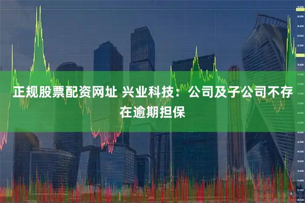 正规股票配资网址 兴业科技：公司及子公司不存在逾期担保