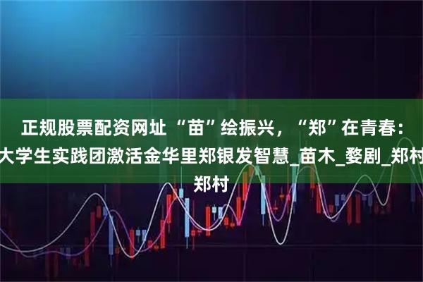 正规股票配资网址 “苗”绘振兴，“郑”在青春：大学生实践团激活金华里郑银发智慧_苗木_婺剧_郑村
