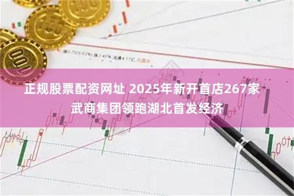 正规股票配资网址 2025年新开首店267家   武商集团领跑湖北首发经济