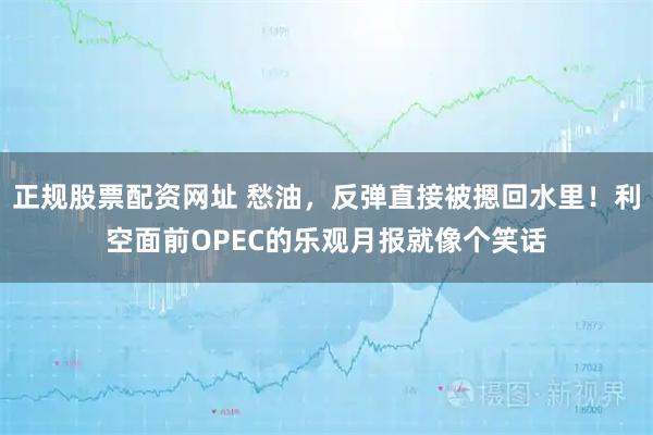 正规股票配资网址 愁油，反弹直接被摁回水里！利空面前OPEC的乐观月报就像个笑话