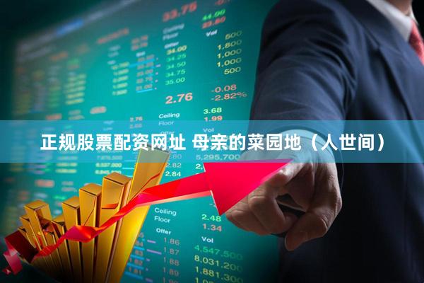 正规股票配资网址 母亲的菜园地（人世间）